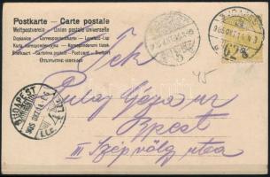 1905 Budapest, szőlőszüret, fotólap, 9×13,5 cm