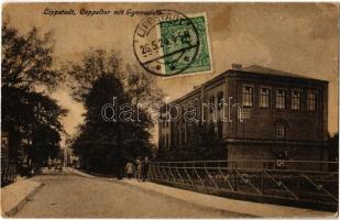 1924 Lippstadt, Cappeltor mit Gymnasium / street view, high school, bicycle (fl)