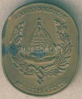 DN "Belügyi Dolgozók Szakszervezete" Br kitűző T:2