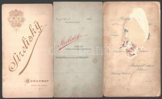 cca 1880-1910 Hölgyportrék, 3 db keményhátú fotó Strelisky műterméből, 21×11 cm