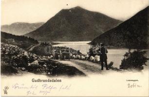 1902 Gudbrandsdalen, Lomseggen / Lomseggi / road, mountain