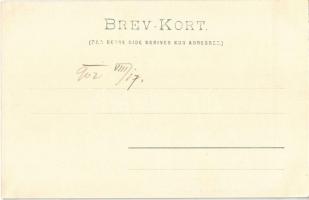 1902 Norge, Lap med Rensdyr / Nordic Sami (Lapplander) people, folklore, reindeer. E. Hagerup