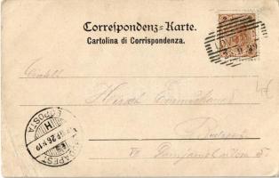 1899 Lovran, Lovrana; seashore, hotel (EB)