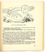 Öveges József: A fegyverek fizikája. Bp., 1972, Zrínyi Katonai Kiadó. Kiadói egészvászon kötés, sérü...