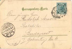 1901 Ústí nad Labem, Aussig an der Elbe; Ferdinandshöhe vom Landeplatz der Dampfschiffe / ship stati...