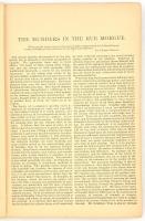 Edgar Allan Poe: The Murder in the Rue Morgue and other Tales of Mystery. London, 1893., Sampson Low...