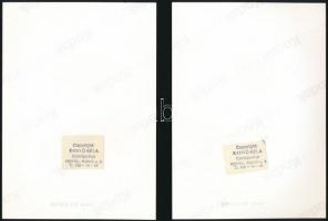 cca 1990 Kanyó Béla (1939-2020): Fábri Zoltán (1917-1994) Kossuth-díjas film- és színházi rendező 2 ...