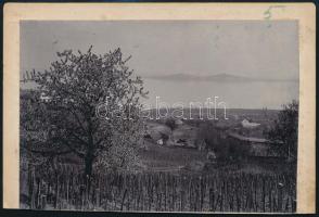 1907 Kilátás Badacsonyból, háttérben Fonyód, hátoldalon feliratozott keményhátú fotó, vágott karton, 11,5×18 cm
