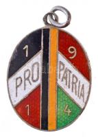 Osztrák-Magyar Monarchia 1914. "Pro Patria 1914" zománcozott, jelzett Ag patrióta medál hátlapon "Tv.Vv" jelzéssel (4,37g/21x29mm) T:2- zománchiba Austro-Hungarian Monarchy 1914. "Pro Patria 1914" enamelled, hallmarked Ag patriotic medallion on the back with "Tv.Vv." mark (4,37g/21x29mm) C:VF enamel error