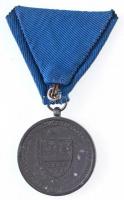 1940. "Erdélyi részek felszabadulásának emlékére" cink emlékérem eredeti mellszalaggal. Sz...