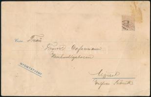 1899 Budapest, Lánchíd panorámával, levelezőlap, 16×25 cm