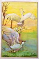 Herman Ottó: Erdők, rétek, nádasok (Válogatás Herman Ottó műveiből.) Bp., 1986, Móra Ferenc Könyvkia...