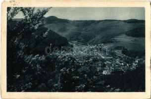 1922 Trencsénteplic, Trencianske Teplice; fürdő látképe / general view, spa, bath (szakadás / tear)