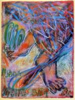 Vétála-Pancsavinsatiká. Szanszkrit mesék Swierkiewicz Róbert képeivel. Vác-Bp., 1997, Nalors Grafika...