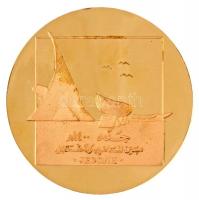 Szaúd-Arábia ~1980. "Abdualziz Király Nemzetközi Repülőtér, Jeddah" Br emlékérem (65mm) T:...