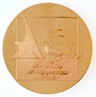 Szaúd-Arábia ~1980. "Abdualziz Király Nemzetközi Repülőtér, Jeddah" Br emlékérem (65mm) T:...