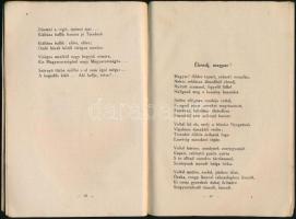 Mentes Mihály: Fertő. Irredenta versek. Győr, 1922, Szent István Társulat bizománya. Kiadói szecessz...