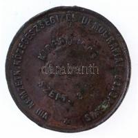 1894. "Saxlehner András Hunyadi János Forrás / VIII. Nemzetközi Közegészségi és Demográfiai Con...