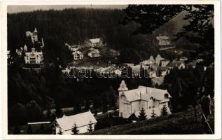 Borszék, Borsec; látkép, nyaralók. Heiter György udvari fényképész felvétele és kiadása / general view, villas