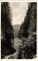 1943 Borszék, Borsec; Nádos. Heiter György udvari fényképész felvétele és kiadása / road in the forest (EK)