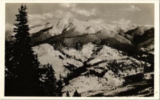 Borsafüred, Borsa; kilátás észak felé. Dr. Schneider Lajos felvétele / general view, mountain range