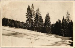 1944 Radnaborberek, Borberek-fürdő, Valea Vinului; Radnai-havasok / Muntii Rodnei / mountain, winter landscape (fl)