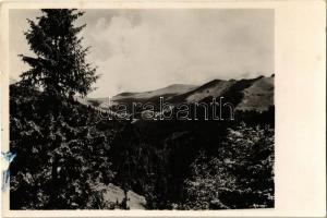 1944 Radnaborberek, Borberek-fürdő, Valea Vinului; Radnai-havasok / Muntii Rodnei / mountain range