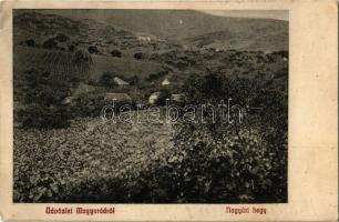 1913 Magyarád, Magyarát, Maderat; Nagyúri hegy, szőlőhegy / mountain vineyards