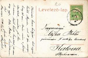 Nagymegyer, Velky Meder, Calovo; Szt. Elzear iskola, kút. W.L. (?) 105. / school, well (EB)