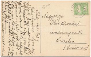 1913 Rozsnyó, Roznava; Gróf Andrássy Dénes utca, Blicz József üzlete / street, shop