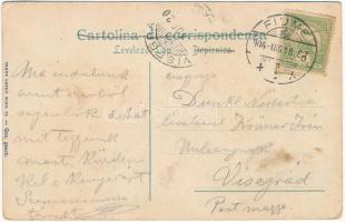 1906 Fiume, Rijeka; Volo a Fiume, Castua, Porto, Corso, Teatro Comunale / Montázs üdvözlet pillangóh...