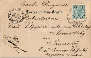 1900 Brno, Brünn; Landhaus / town hall