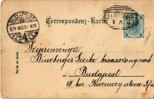 1901 Lovran, Lovrana; Strandweg / beach, shore (fl)