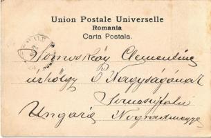 1902 Turnu Severin, Szörényvár; Parcul si primaria / park, town hall (Rb)