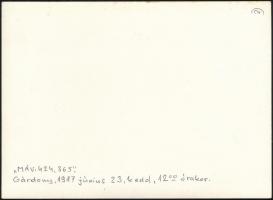 1987 A MÁV 424.365-ös mozdonyának beemelése a gárdonyi vasútállomáson, hátoldalon feliratozott fotó,...