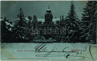 1900 Lednice, Lednice-Valtice, Feldsberg-Eisgrub, Eisgrub; Schloss Liechtenstein / castle in winter. Pateisky phot. (fl)