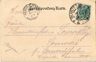 1902 Olomouc, Olmütz; Niederring / square, market. Verlag von Ed. Hölzel (EK)