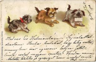 1900 Dogs. Lith. u. Druck v. Kutzner & Berger. No. 290. litho (fl)