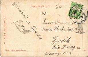 1911 Pécska, Petschka, Pecica; Komp átkelés a Maroson. W.L. Bp. 5194. Ruber István kiadása / ferry c...