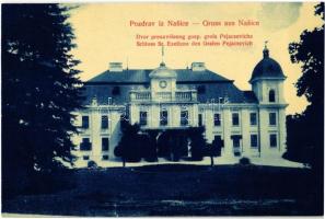 Nekcse, Nasice; gróf Pejacsevich kastély / Dvor preuzvisenog gosp. grofa Pejacsevicha / Schloss / castle. W.L. 893.