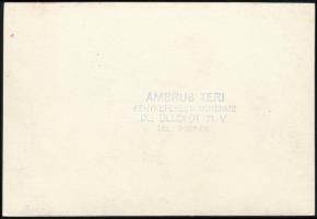 Régi villamos Chlorodont fogkrém reklámjával, 8,5×12,5 cm