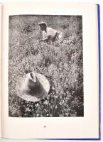 Németh József: Leica felvételek. A szerző 130 felvételével. Bp., 1944, Athenaeum. Kiadói félvászon-k...