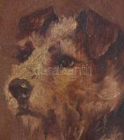 Jelzés nélkül: Foxi. Olaj, farost, sérült fa keretben. 19,5x16 cm