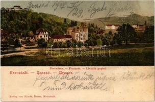 1907 Brassó, Kronstadt, Brasov; Postarét / Postwiese / Livadia postei. Friedr. Reiser (fl)