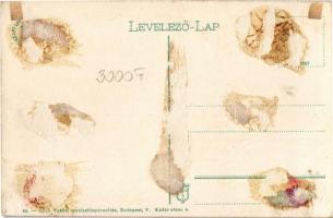 Celldömölk, pályaudvar, vasútállomás, vonat. Vasúti Levelezőlapárusítás 1915. (Rb)