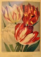 A kert. A kertészet összes ágait magába foglaló kertészeti szaklap. Főszerk és tulajdonos: Mauthner ...