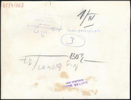 cca 1960-1970 Fényes Tamás (1924-1980): Április 4-i koszorúzás, hátoldalán pecséttel jelzett,13x17 c...