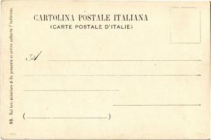 Cadore (Südtirol), Lago di Misurina, Monte Sorapis. P. Breveglieri / lake, hotel