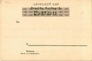 Strasbourg, Münster / cathedral. Verlag J. Velten. E. Nister litho s: F. Hoch