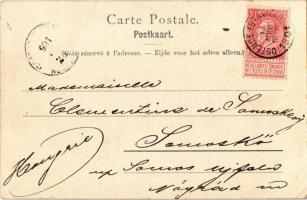 1901 Oostende, Ostende; Bains de mer / beach, bathers, bathing suits, waves (EK)